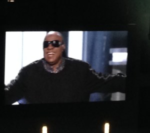 Stevie Wonder
